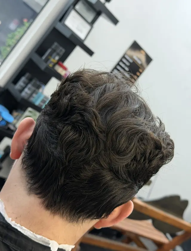 Curly textured scissor cut, back view by Mike Prosch, Palm Springs barber